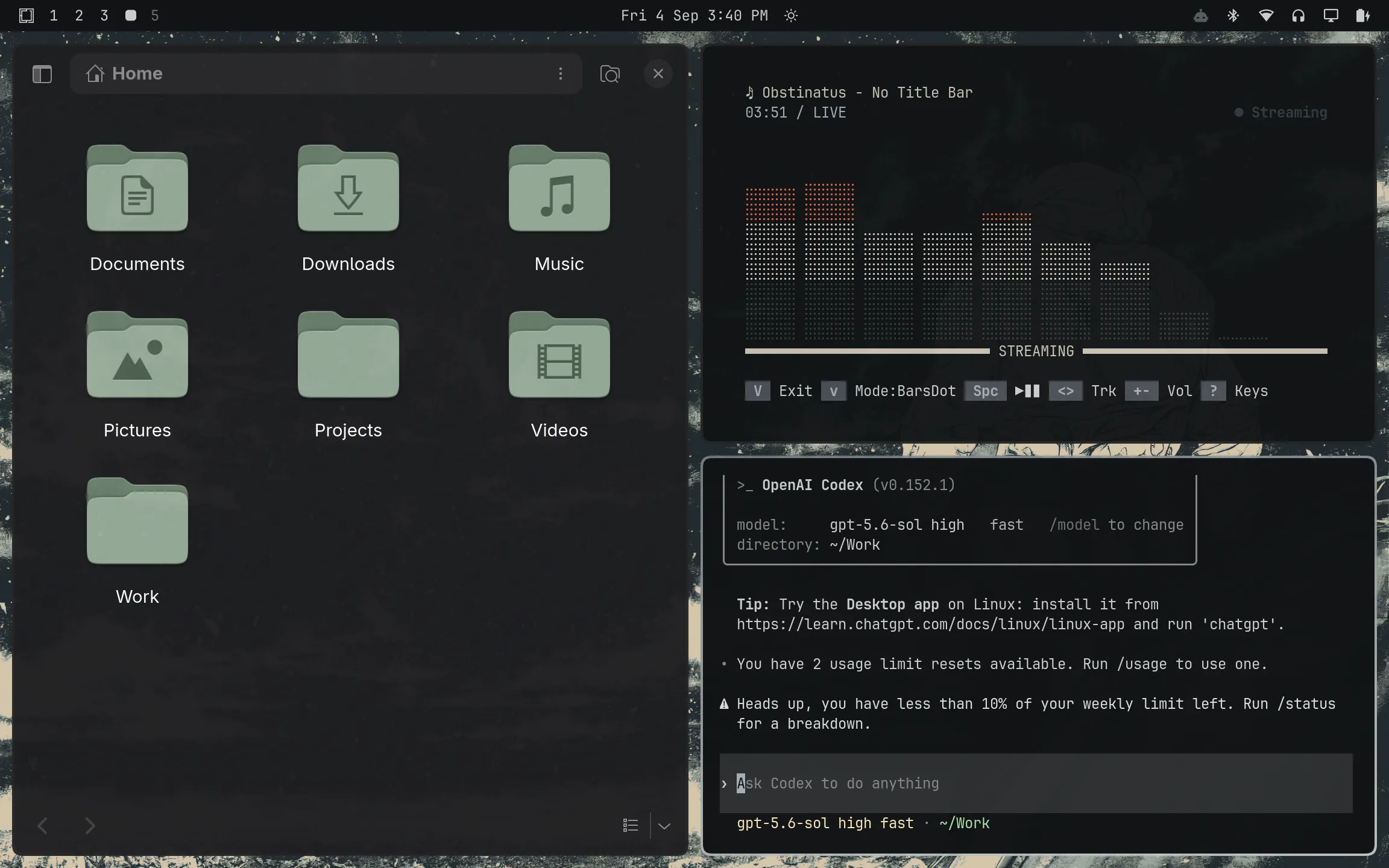 Omarchy desktop with a translucent file browser on the left, a music visualizer above a tiled terminal running Codex, and a top status bar.